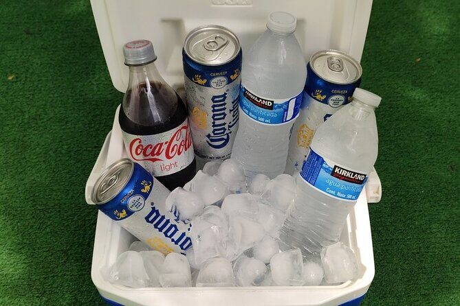 Private Round-Trip Transfer Airport and Boca de Tomatlan - The Sum Up