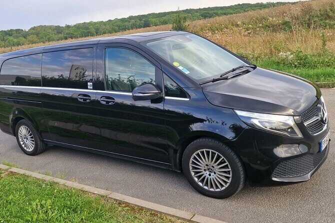 Private round trip transfer from/to PARIS  DISNEYLAND - Who Will Benefit Most?