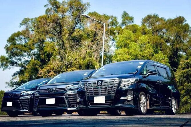 Private Roundtrip Airport Transfer to Iberostar Resorts - Key Points