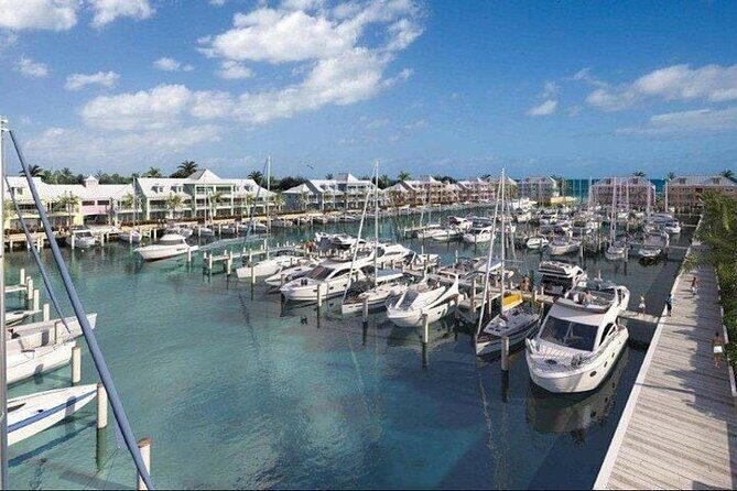 Private Roundtrip Minibus Transfer to Palm Cay - Key Points