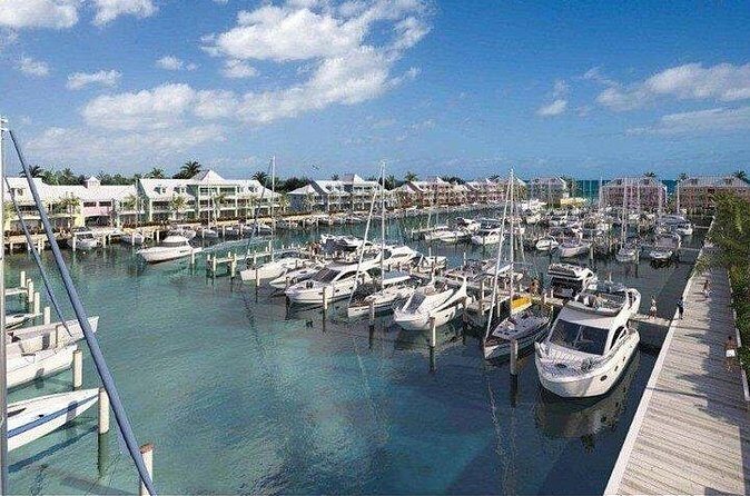 Private Roundtrip Minibus Transfer to Palm Cay - What Travelers Say