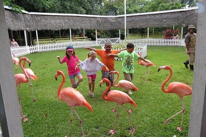 Private Roundtrip Sedan Airport Transfer - Who Is This Experience Best For?