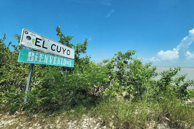 Private Roundtrip Transfer to "El Cuyo Yucatan" - Key Points