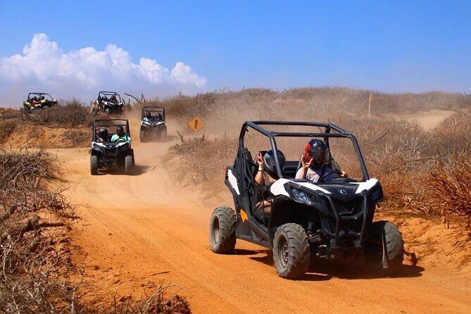 Private RZR tour, handmade quesadillas and Pacific Arch! - Who Will Love This Tour?