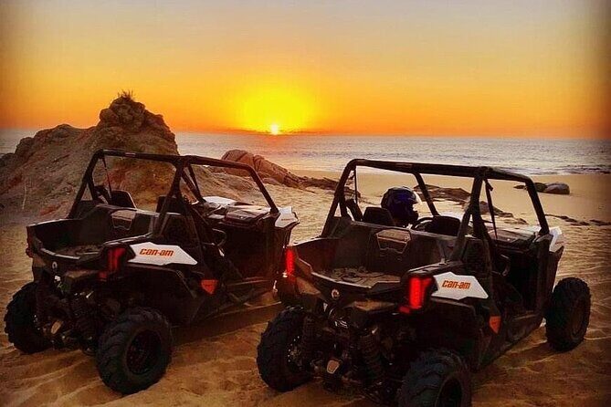 Private RZR tour, handmade quesadillas and Pacific Arch! - The Sum Up