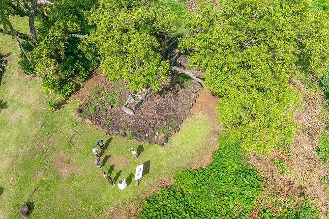 Private Safari Adventure Tour in Bora Bora with Local Guide - Who Would Enjoy This Tour Most?
