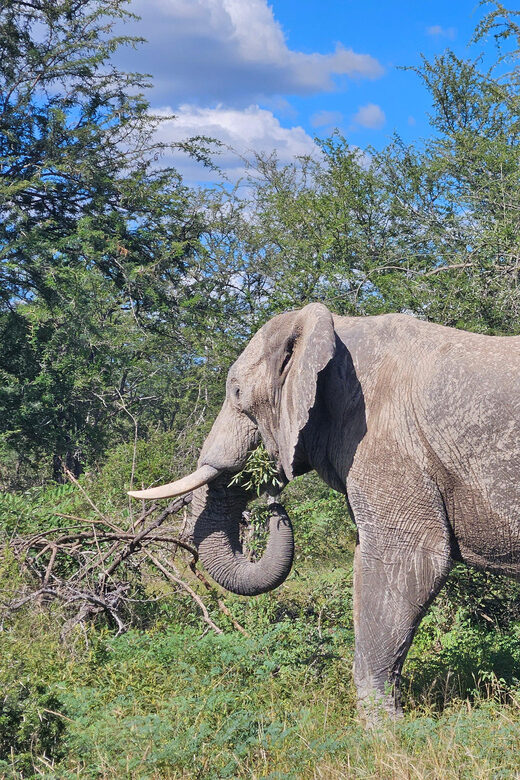 t6056819
