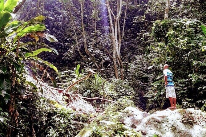 Private Sail & Hike Tour of Grenada - Practical Considerations for Potential Participants