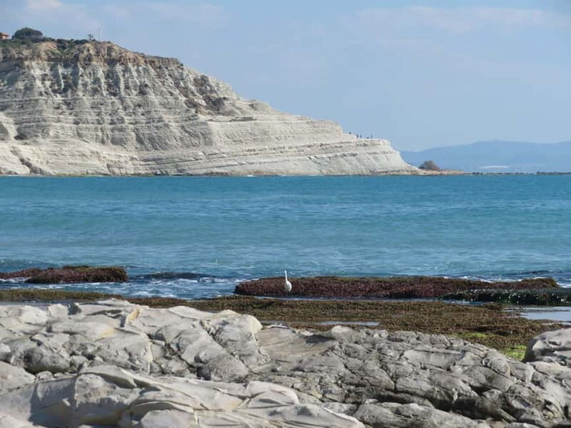 Private Sailing Cruise along the Coast of Agrigento - Who is this cruise best suited for?