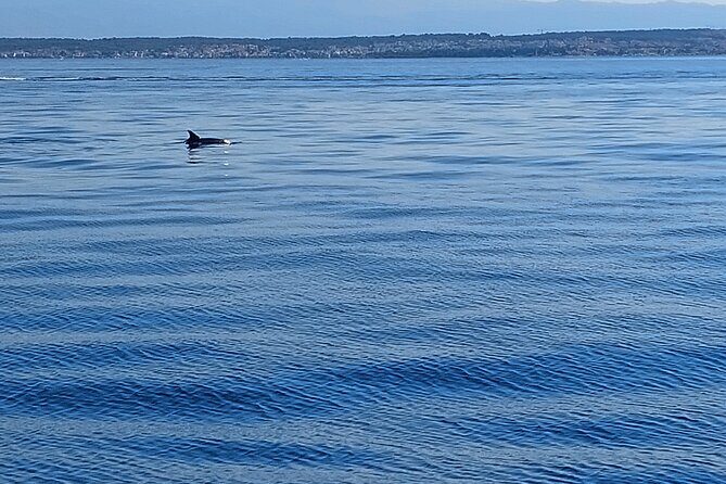 Private Sailing Day Tour - FAQ