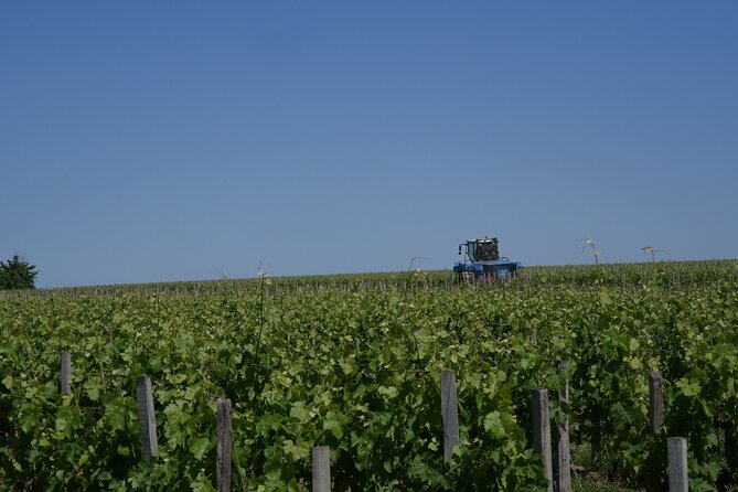 Private Saint Emilion Tour With Wine Tasting - Local Bakery Visit