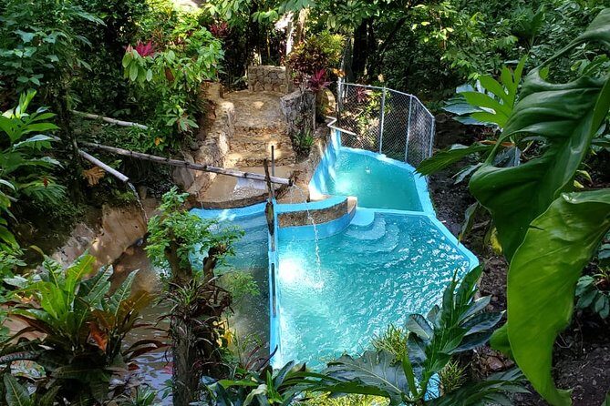 Private Saint Lucia Your Way Customize Tour- LUNCH INCLUDED - A Customizable St. Lucia Adventure: What Travelers Can Expect