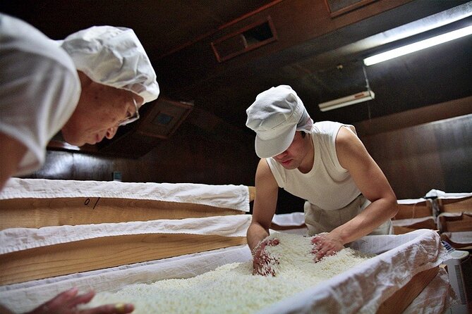 Private Sake Brewery Visit and Tasting Tour in Hida - Inclusions and Accessibility