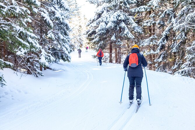 Private, Same Day Round Trip Shuttle Vancouver to Whistler - Confirmation and Accessibility