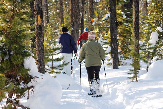 Private, Same Day Round Trip Shuttle Vancouver to Whistler - Private Tour Experience
