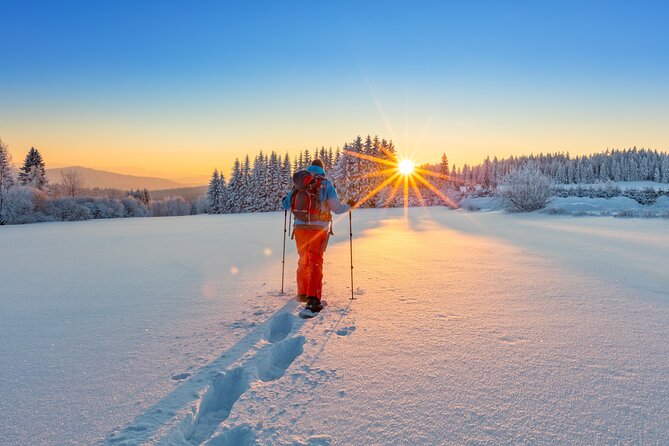 Private, Same Day Round Trip Shuttle Vancouver to Whistler - Frequently Asked Questions