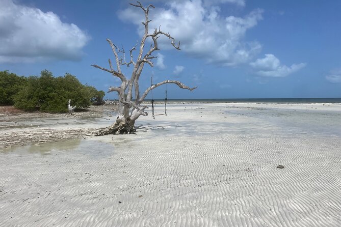 Private Sandbar Adventure in Key West Backcountry - Importance of Sunscreen and Sun Protection