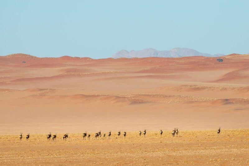 Private Sandwich Harbour 4x4 Tour with Lunch - Walvis Bay - FAQ  