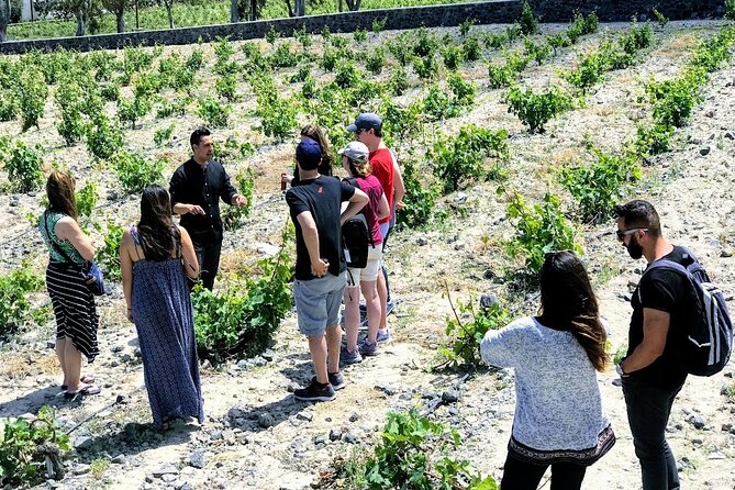 Private Santorini Food & Wine Experience Trip - Authentic Greek Cuisine