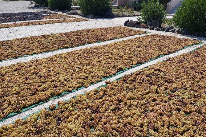 Private Santorini Wine Tasting Tour, 3 Wineries and Light Bites - Sampling Light Bites