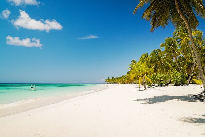 Private Saona Island Excursion - Tips for Travelers
