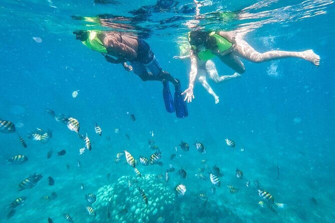 Private Saône Island by Luxury Boat - A Deep Dive into the Experience