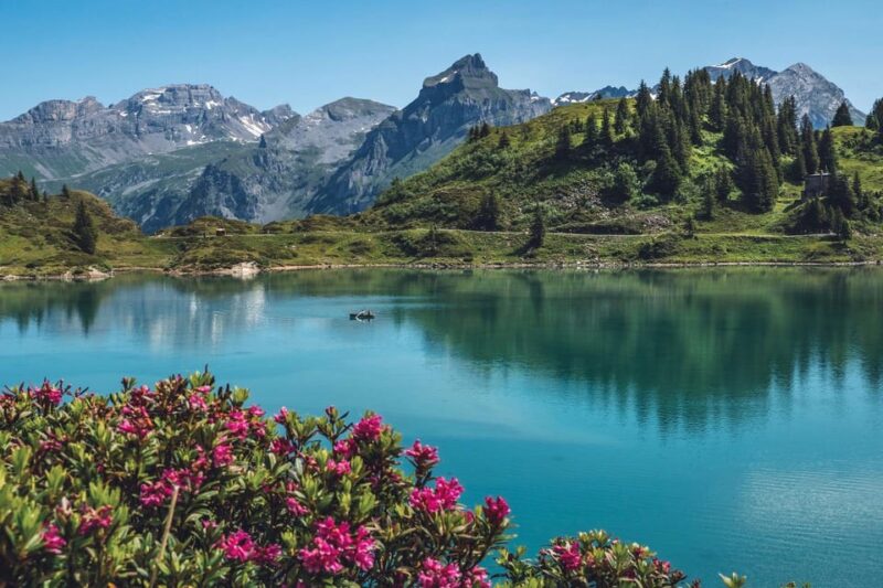 Private Scenic Day Trip From Lucerne to Mount Titlis Summit - Ask Away