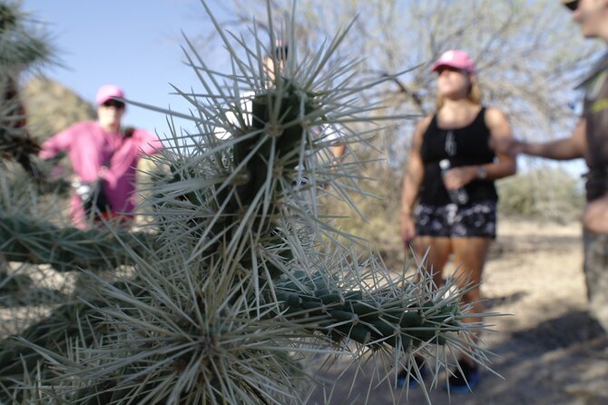 Private Scottsdale Day Hiking Tour - Inclusions