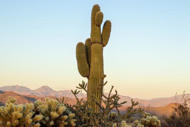 Private Scottsdale Off-Road Jeep Tour - Directions to Scottsdale Adventure Tours