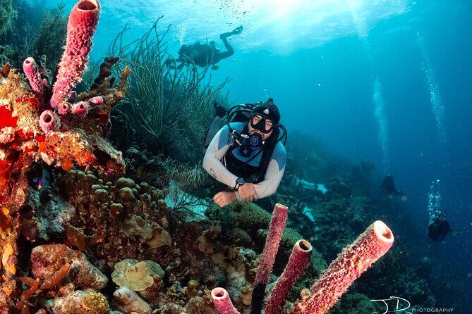 Private Scuba Diving Charter in Bonaire Marine Park - Who Should Consider This Tour?