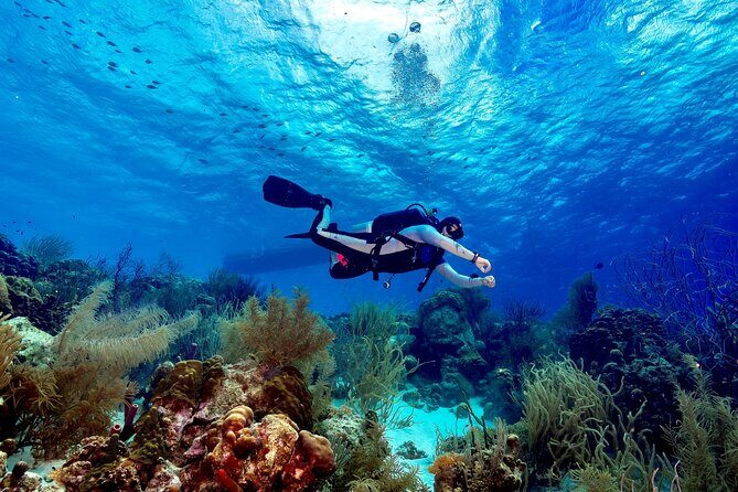Private Scuba Diving Charter in Bonaire Marine Park - FAQs