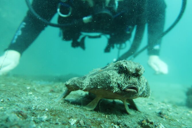 Private Scuba Diving Expert-Led Excursion Training With Tour - Customer Reviews