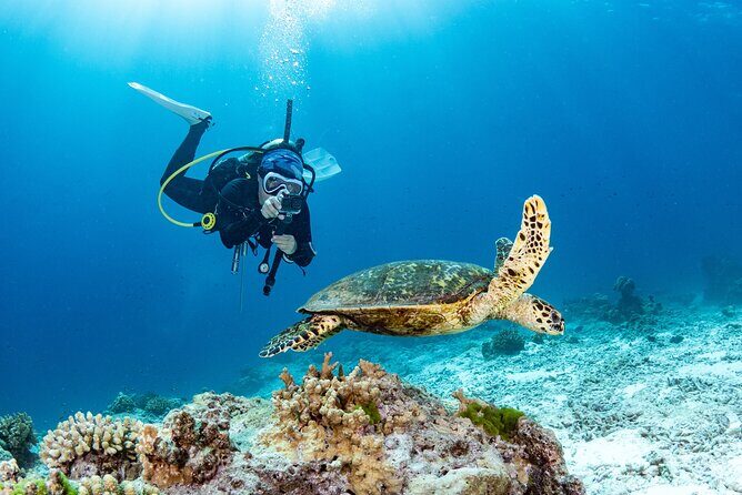 Private Scuba Diving Tour in San Juan - Key Points
