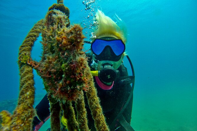Private Scuba Diving Tour With Transportation and Guide - Pricing and Cancellation Policy
