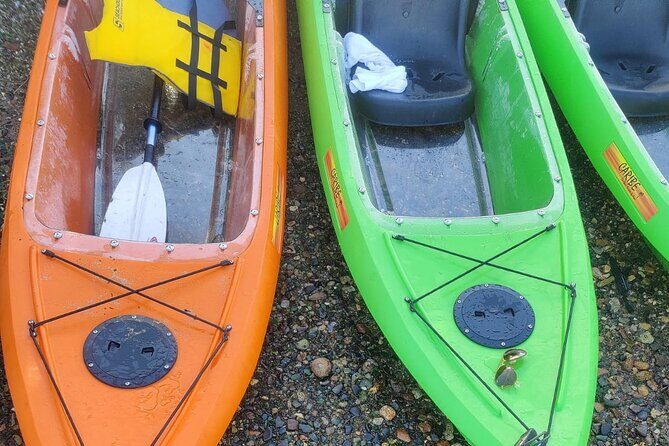 Private Sea Glass Island Kayak Morning + Transfer - Practical Tips for Your Sea Glass Island Kayak Tour