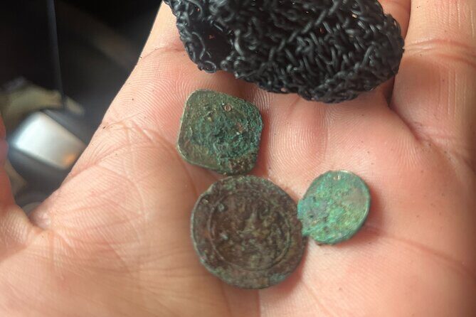 Private Sea Glass Island Kayak Morning + Transfer - Final Thoughts