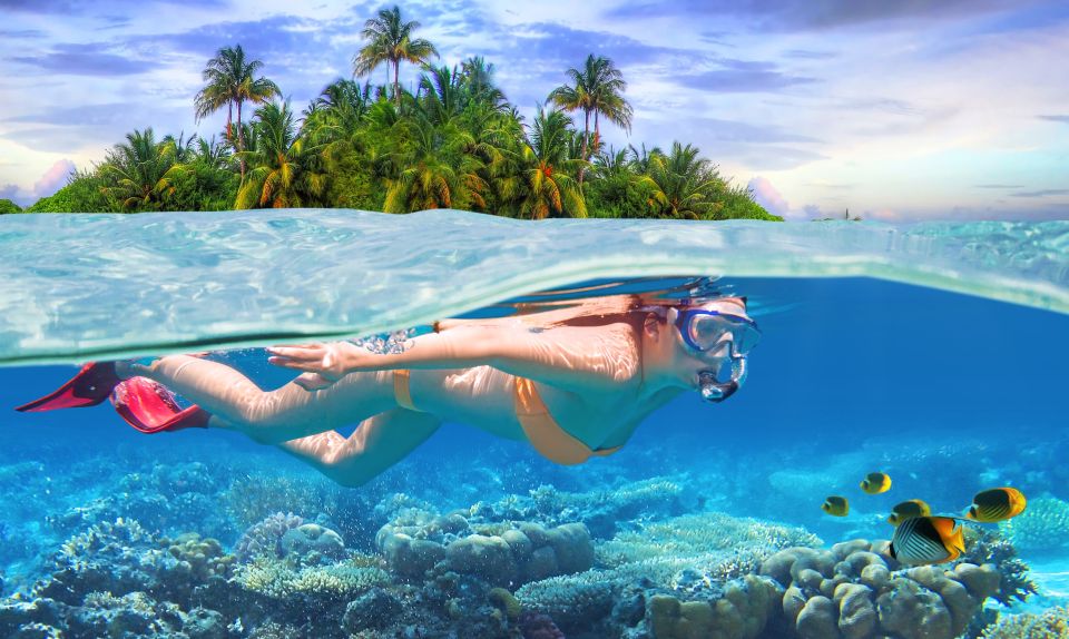 Private Sea-Nic, Sip N' Snorkel on a Semi-Submersive Craft - Key Points