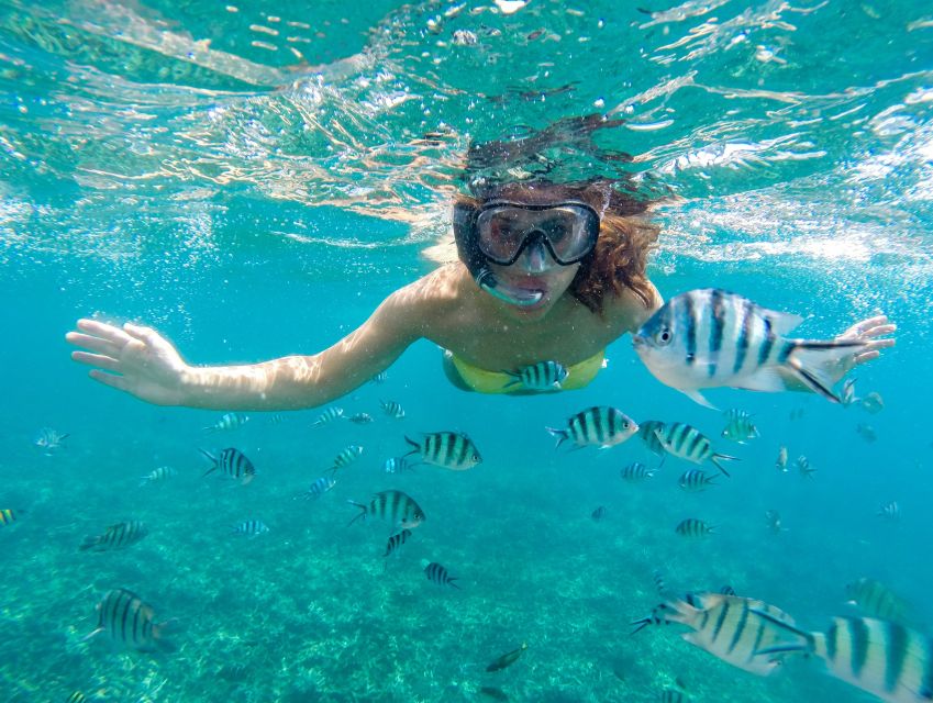 Private Sea-Nic, Sip N' Snorkel on a Semi-Submersive Craft - All-Inclusive Charter Highlights