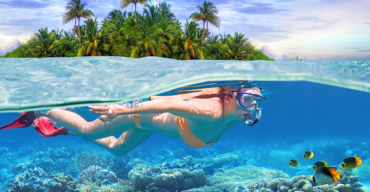 Private Sea-Nic, Sip N' Snorkel on a Semi-Submersive Craft - Frequently Asked Questions