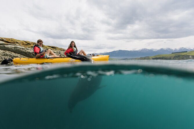 Private Seal Kayaking and Wildlife Tour in Kaikoura - An Authentic Kiwi Wildlife Adventure