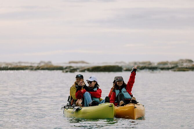 Private Seal Kayaking and Wildlife Tour in Kaikoura - FAQs