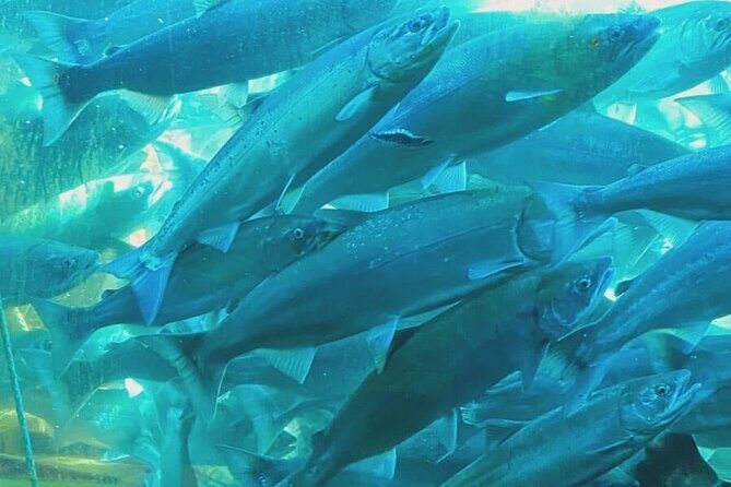 Private Seattle History and Landmarks Tour - Why You’ll Love This Tour