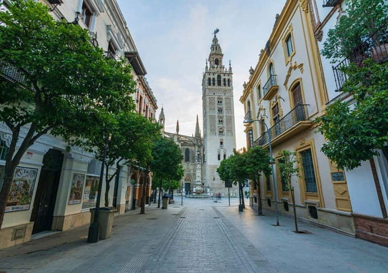 Private Seville: exclusive tour of Santa Cruz and the historic center - An authentic, detailed look at the tour