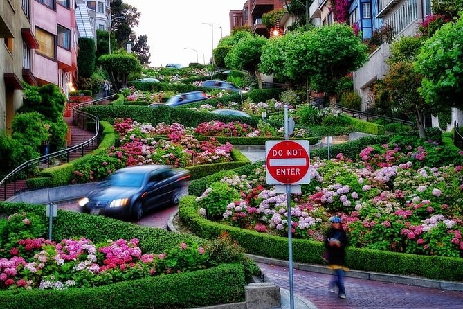 Private SF Highlights & Stanford Shopping Tour - What to Expect