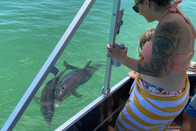 Private Shell Key Island Adventure Dolphins And Shells - The Value of a Private Tour