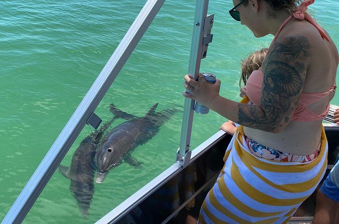 Private Shell Key Island Adventure Dolphins And Shells - The Experience from a Traveler’s Perspective