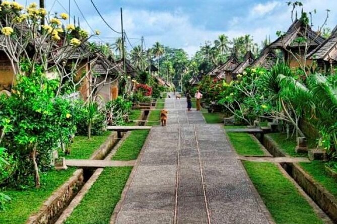 Private Shore Excursion: Bali Cultural Tour Including Tegalalang Rice Terraces and Tirta Empul Temple - Booking Information