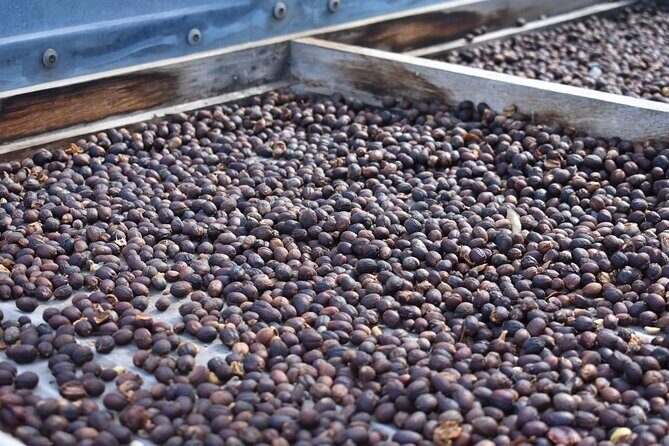 Private Shore Excursion in Gran Canaria - What to Expect from This 6-Hour Adventure