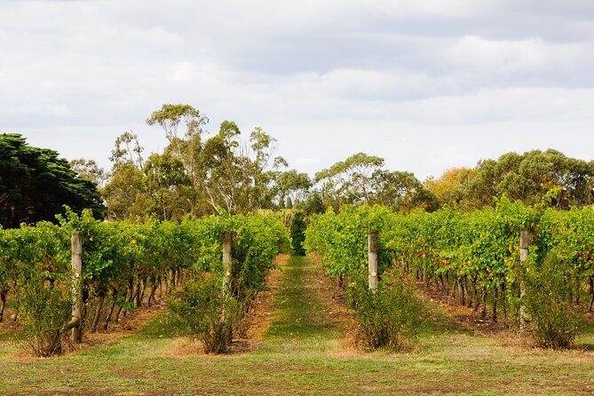 Private Shore Tour: Bellarine Peninsula Wine Experience - FAQ