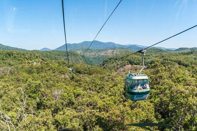 Private Shore Tour: Kuranda Rainforest &Skyrail from Port Douglas - A Closer Look at the Experience